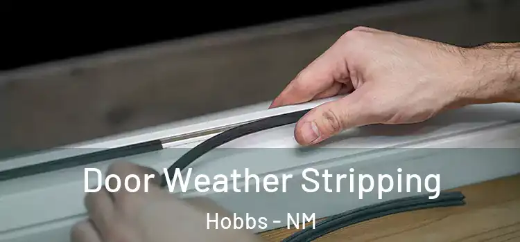Door Weather Stripping Hobbs - NM