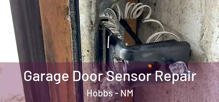Garage Door Sensor Repair Hobbs - NM