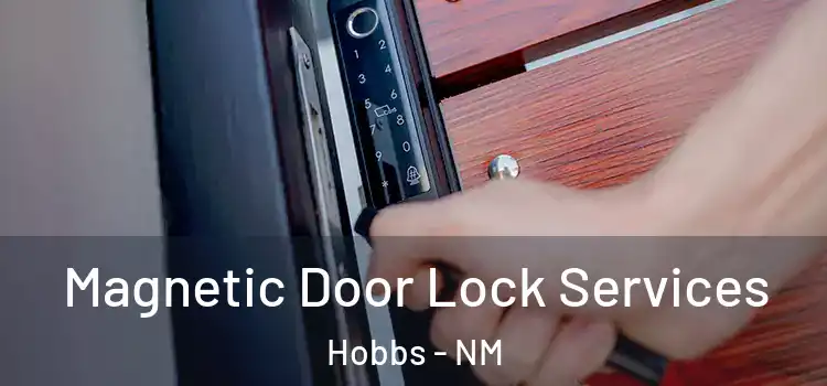 Magnetic Door Lock Services Hobbs - NM