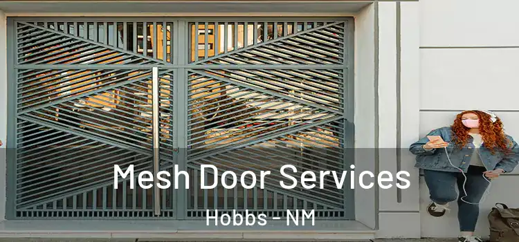 Mesh Door Services Hobbs - NM