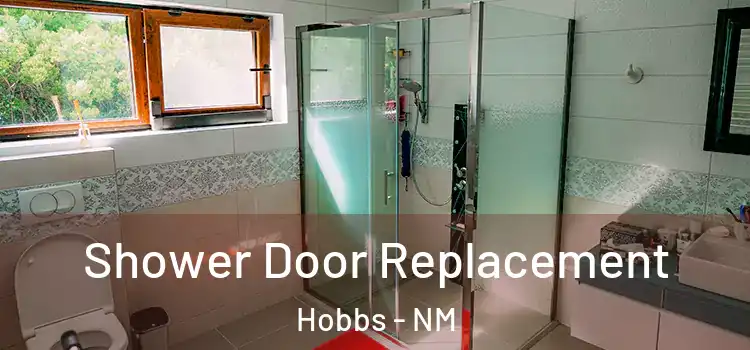 Shower Door Replacement Hobbs - NM